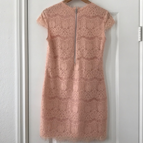 Dolce Vita Ares Blush Lace Mini Dress - Picture 3 of 6